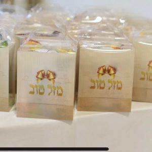 קופסאת פלסטיק מתקפלת עם ידית